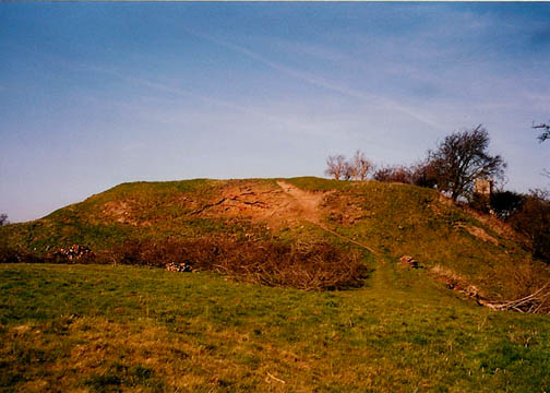 Fotheringhay Mound. Photo by Juliet Wilson