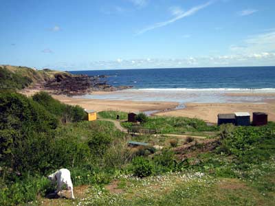 Coldingham Sands