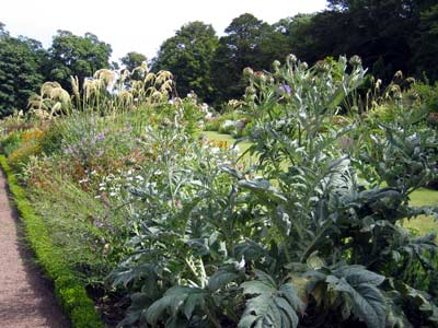 Part of Dirleton Castle's peaceful pleasure gardens