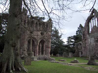 Remains of the inside of the abbey church