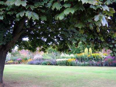 Colourful flower beds in the summer