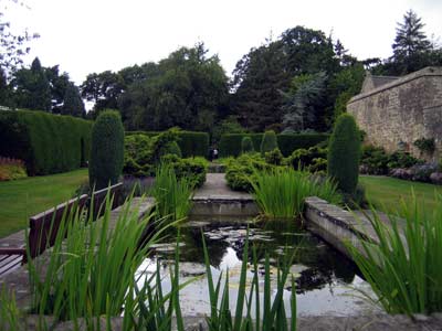 A peaceful pond