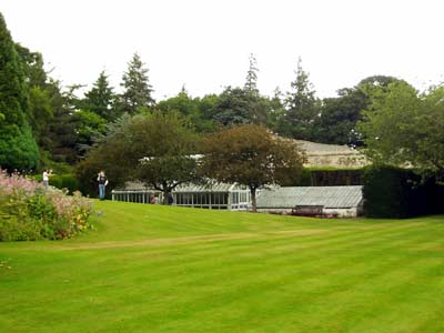 A view of the greenhouse