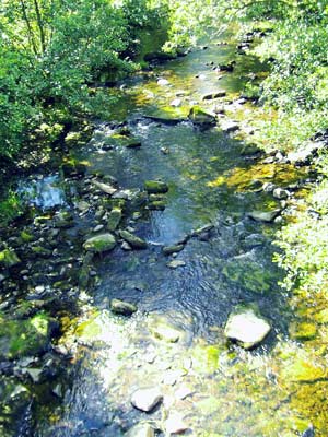 Tyne River