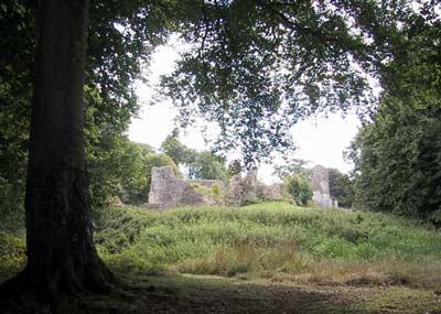 Approaching from the back through the woodland