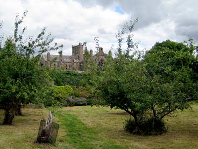 View of the Abbey from the gardens