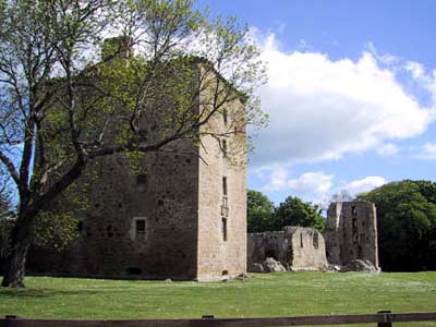 David's Tower from the west side